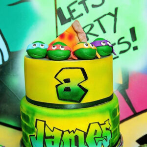 TMNT cake