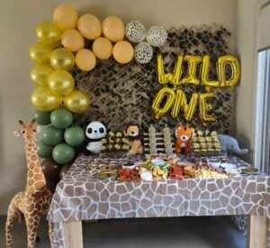 Wild One party set-up