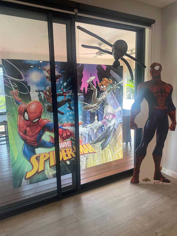 Spiderman party backdrop