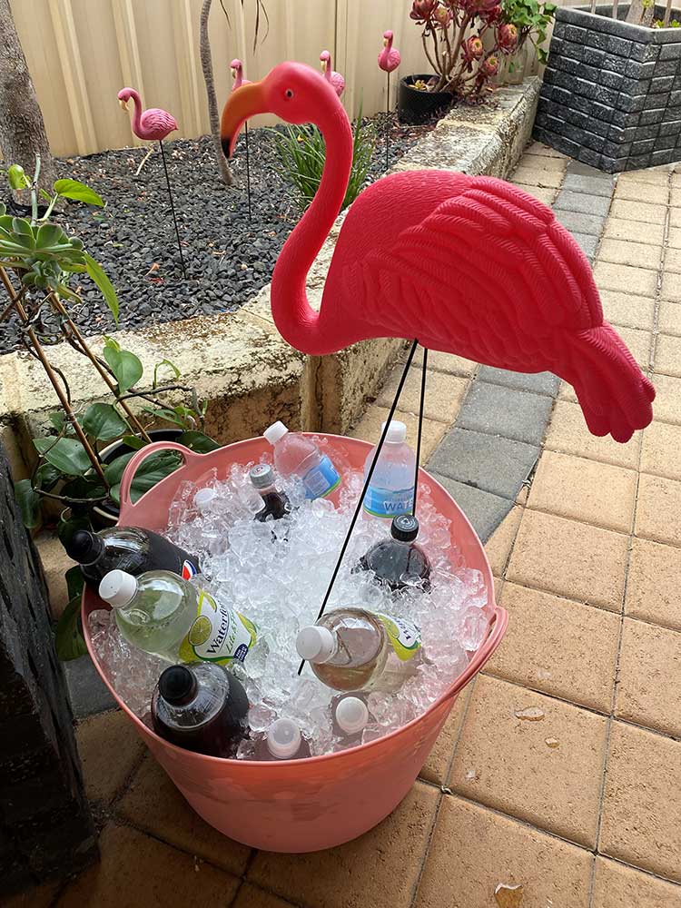 Flamingo drinks