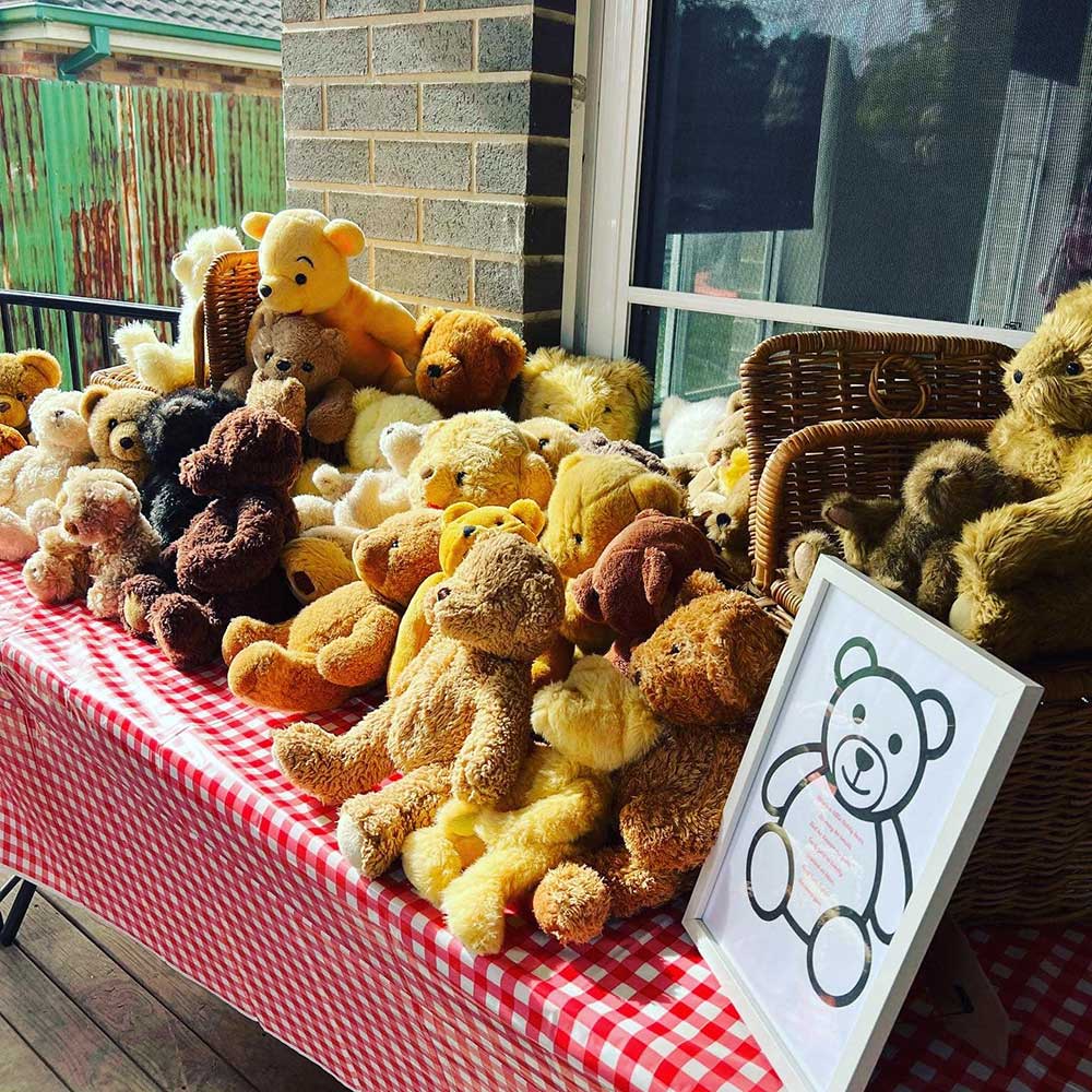 Teddy bear picnic adoption