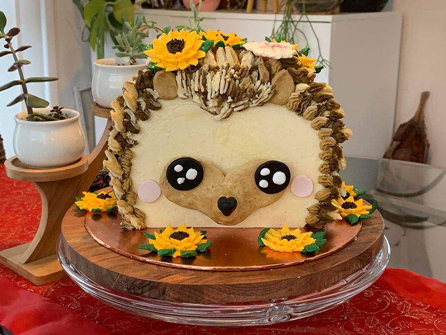 Final hedgehog cake