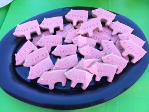 Charlotte's Web party cookies